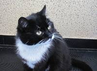 VFL.RU - ваш фотохостинг