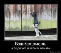 VFL.RU - ваш фотохостинг