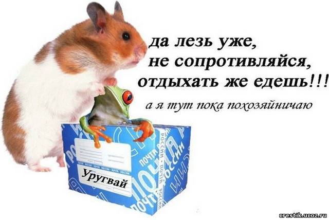 http://images.vfl.ru/ii/1311452232/03796e2c/39245_m.jpg