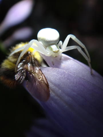 VFL.RU - ваш фотохостинг VFL.RU - ваш фотохостинг