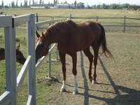 VFL.RU - ваш фотохостинг