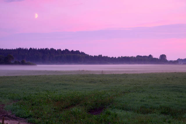 VFL.RU - ваш фотохостинг