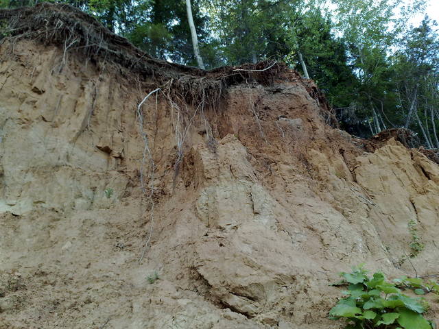 VFL.RU - ваш фотохостинг VFL.RU - ваш фотохостинг