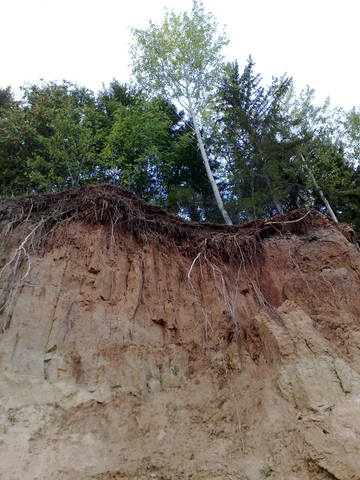 VFL.RU - ваш фотохостинг VFL.RU - ваш фотохостинг