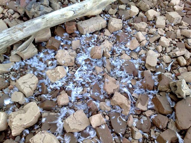 VFL.RU - ваш фотохостинг VFL.RU - ваш фотохостинг