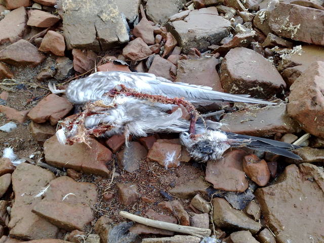 VFL.RU - ваш фотохостинг VFL.RU - ваш фотохостинг