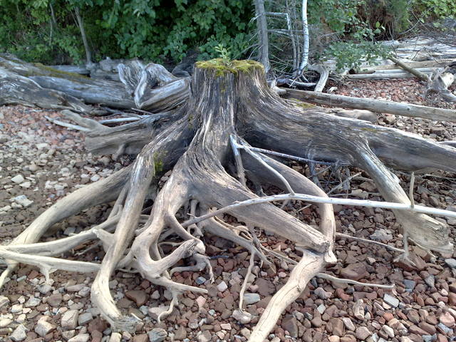 VFL.RU - ваш фотохостинг VFL.RU - ваш фотохостинг