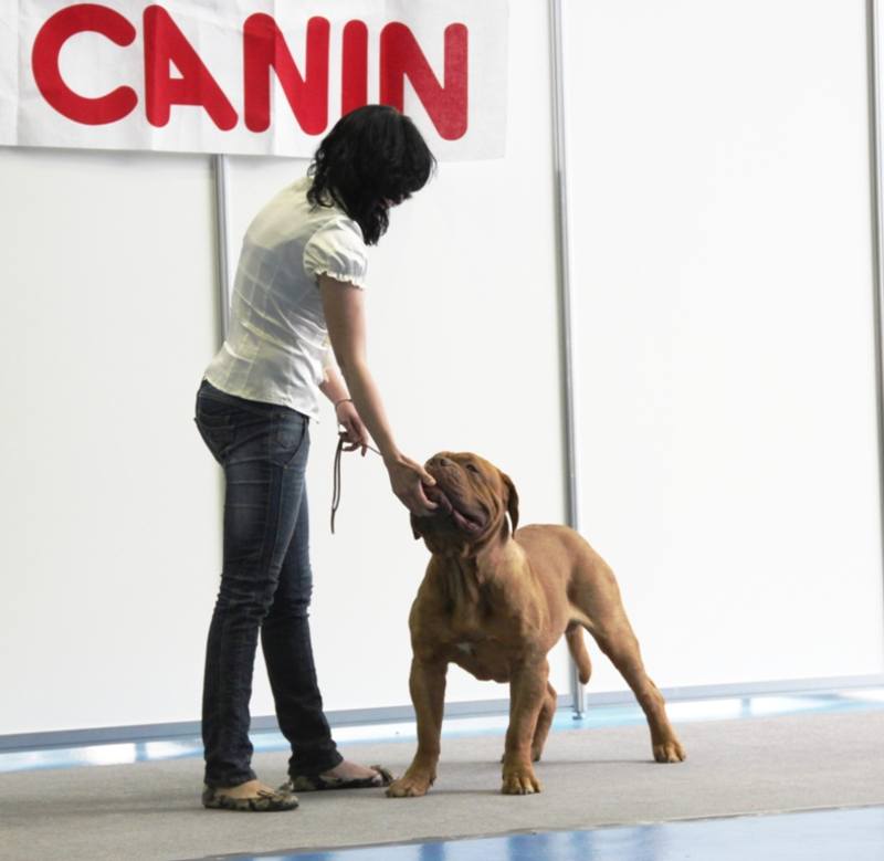 Изображение 095