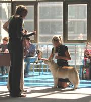 Изображение 075