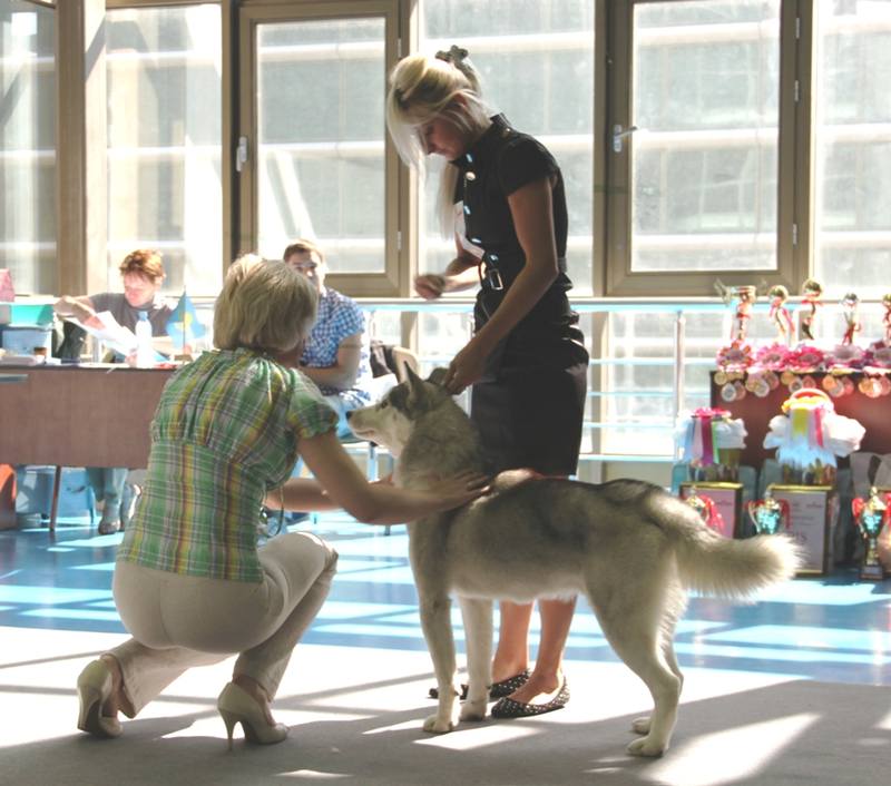 Изображение 081