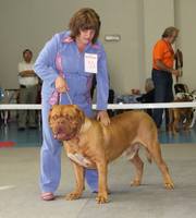 Изображение 099