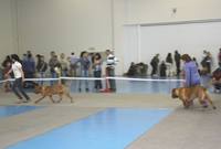 Изображение 103