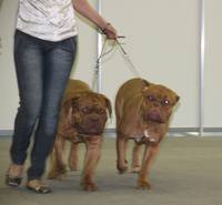 Изображение 154