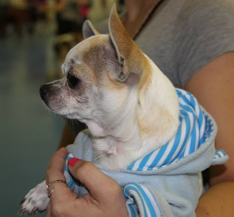 Изображение 310