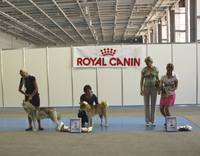 Изображение 327