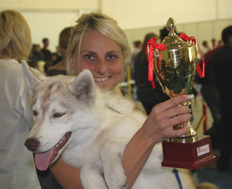 Изображение 356