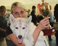 Изображение 357