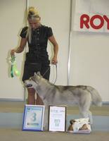 Изображение 371