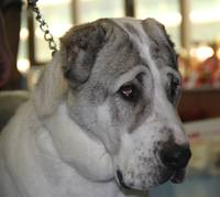 Изображение 247