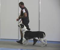 Изображение 222