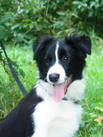 VFL.RU - ваш фотохостинг