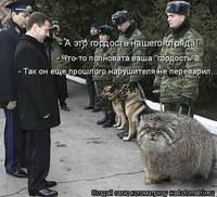 VFL.RU - ваш фотохостинг