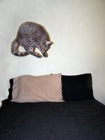 VFL.RU - ваш фотохостинг