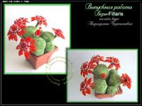 VFL.RU - ваш фотохостинг