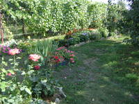 VFL.RU - ваш фотохостинг