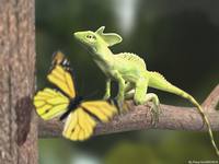 животные приколы