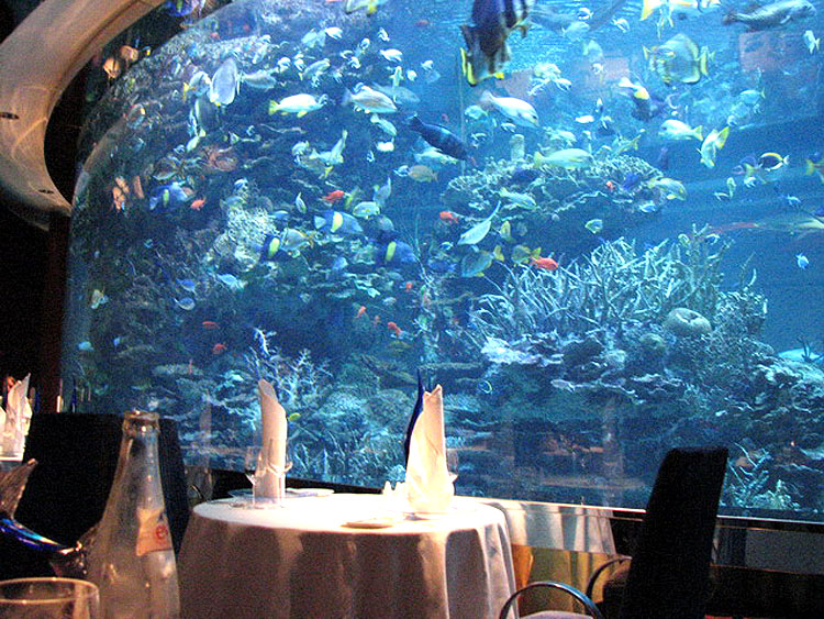 aquarium-burj-al-arab[1]