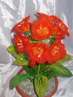 Изображение 122