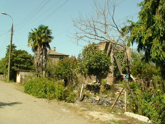 Абхазия. Очамчира. Деревья в роли километровых столбов.