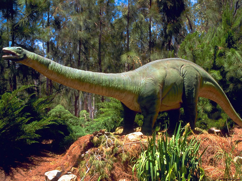 Бронтозавр картинка