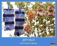 Друзья :)