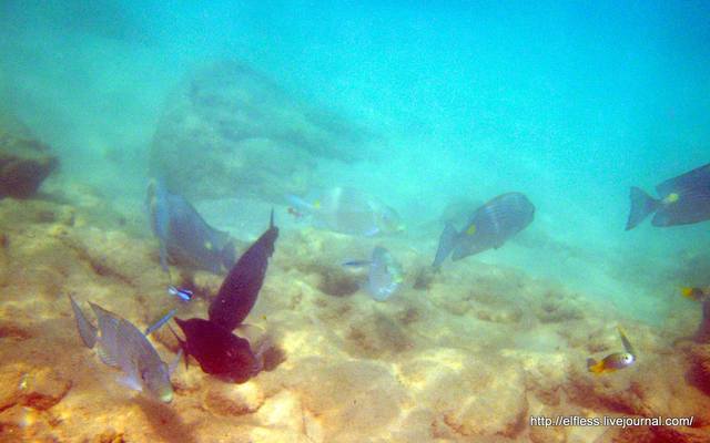 100 5936 - копия