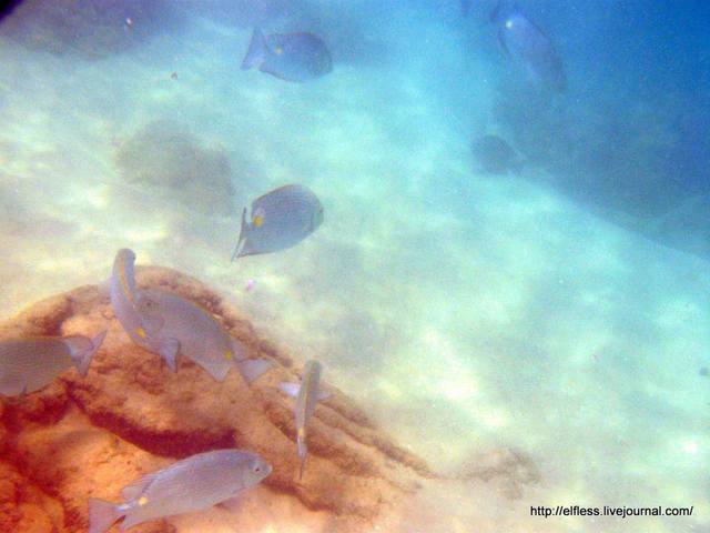 100 5942 - копия