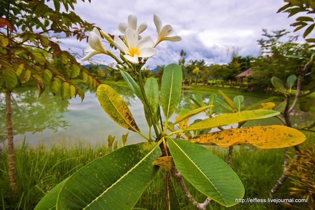 VFL.RU - ваш фотохостинг