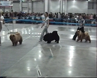 VFL.RU - ваш фотохостинг