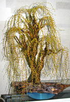 Изображение 0007