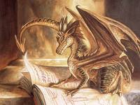 book dragons 1