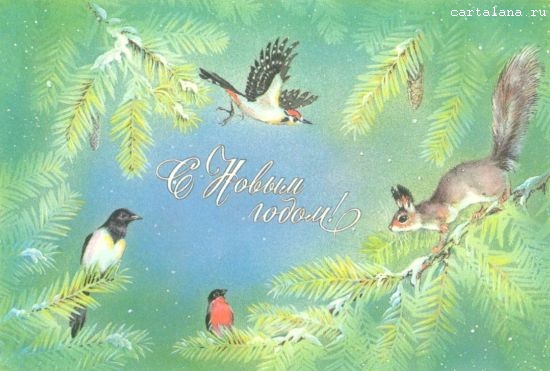 Новогодние открытки.