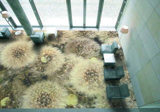 Картинка дня