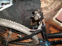 VFL.RU - ваш фотохостинг