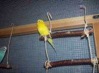 Изображение 001