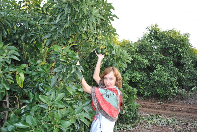 Израиль на неделю.