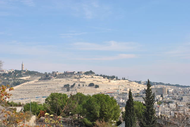 Израиль на неделю.