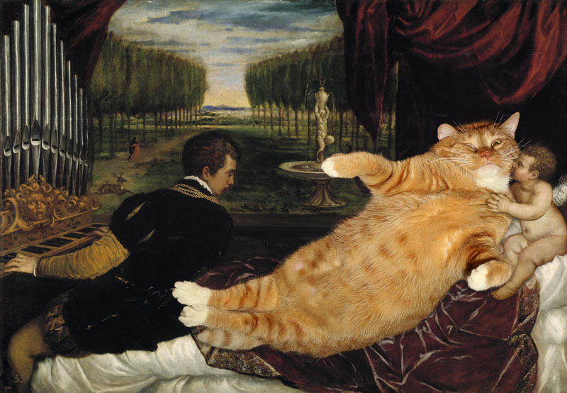 Tiziano-Venus-organ-cat-sm