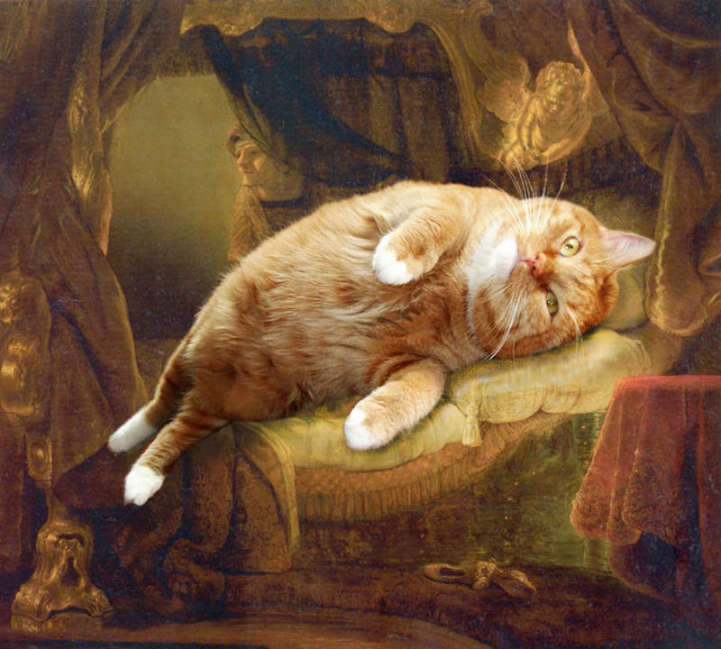 rembrandt danae cat-sm