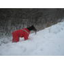 Ирискина зима 2012 022